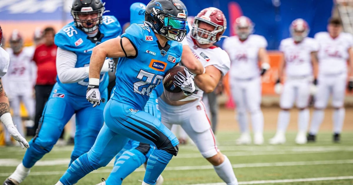 Panthers Wrocław dołączają do nowej ligi. Gdzie zagrają w okresie 2026?