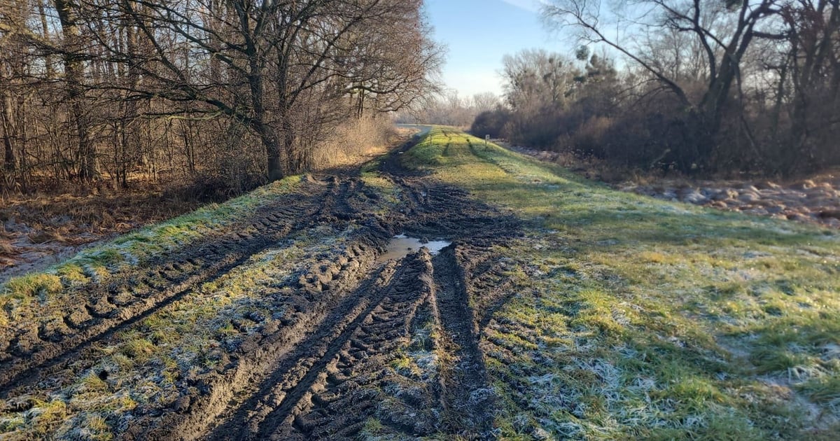 Zdewastowane wały przeciwpowodziowe pod Wrocławiem