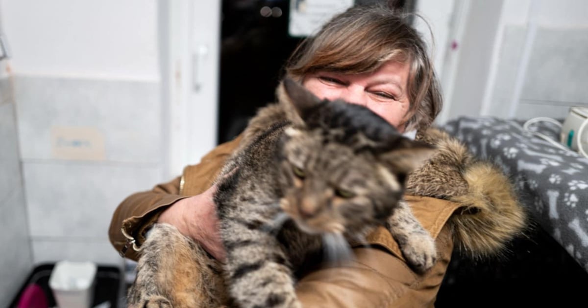 Ta historia poruszyła serca wielu osób. Teraz pani Halina ma szansę na nowy początek