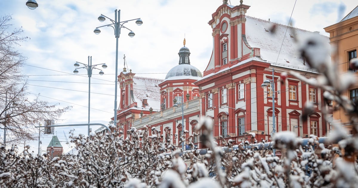 Wrocław w niedzielę. Śnieg sprawia, iż wygląda inaczej | GALERIA