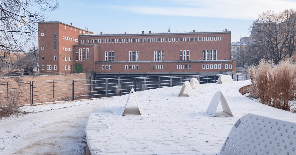 To nie koniec mrozów. Jaka pogoda czeka nas w kolejnych dniach?