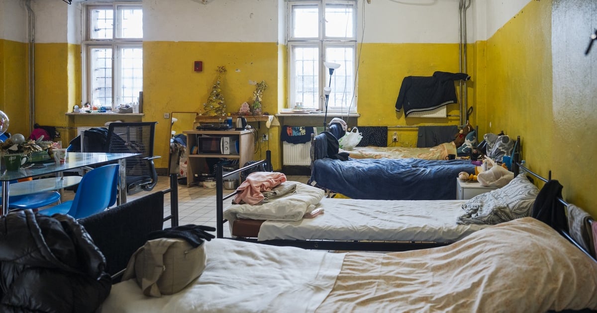 Schroniska, ogrzewalnie i noclegownie przyjmą wszystkich potrzebujących pomocy