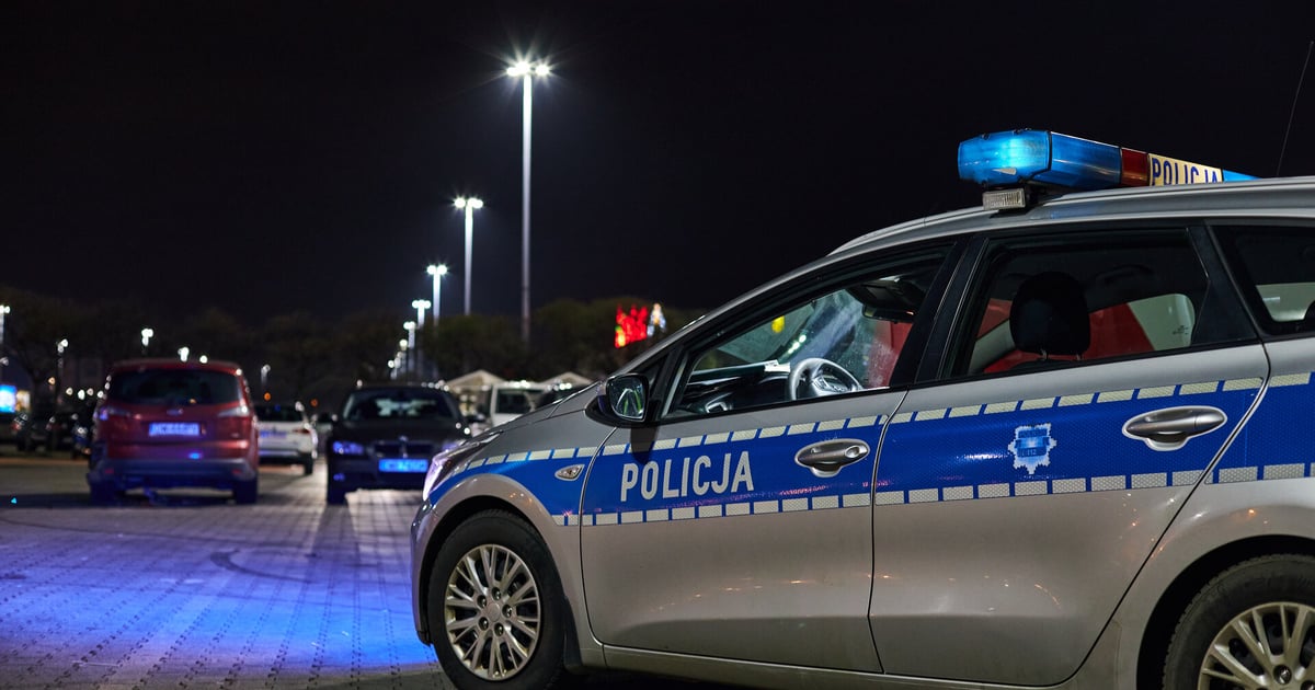 Policjanci z Wrocławia rozbili gang i uwolnili dwie kobiety | WIDEO