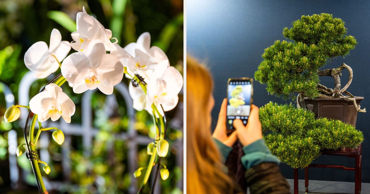 Zobaczycie tu prawdziwe cuda! Światowa Wystawa Roślin we Wrocławiu