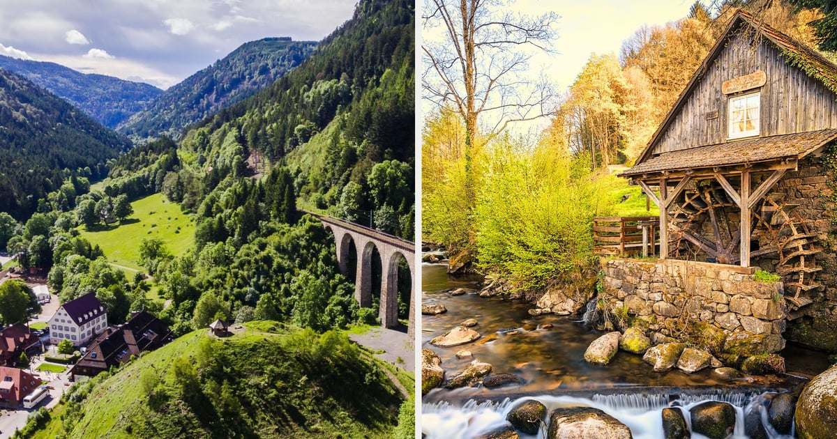 Z Wrocławia do pięknego Schwarzwaldu. Wyjątkowe nowe połączenie z lotniska