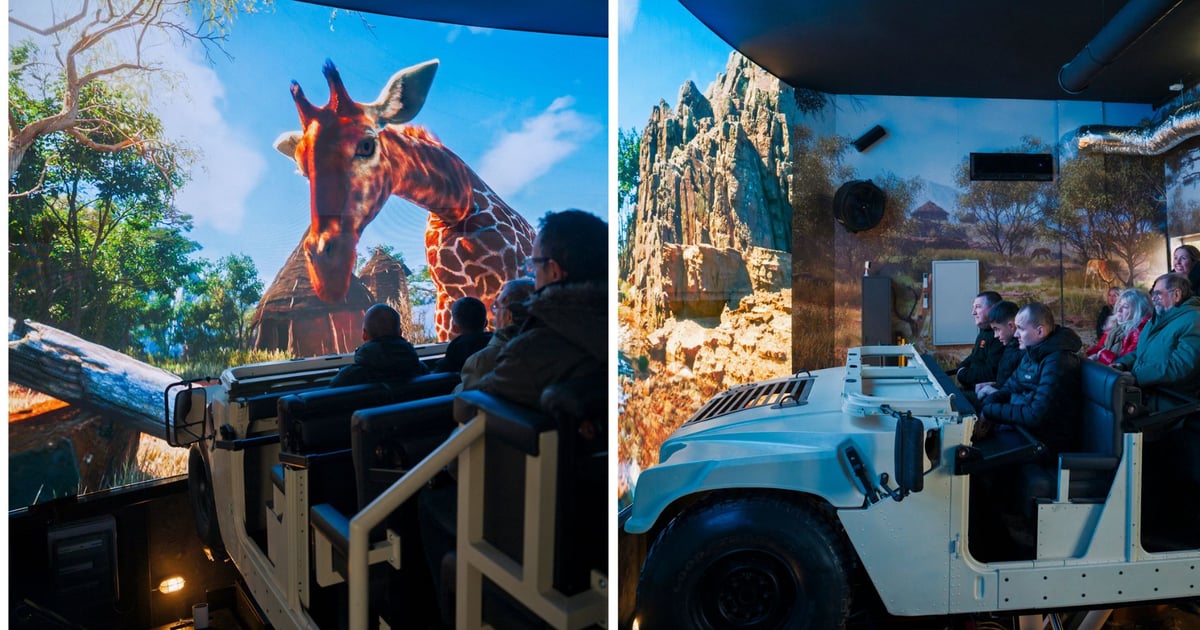 Nowa atrakcja w zoo. Przejedziesz Hummerem przez sawannę