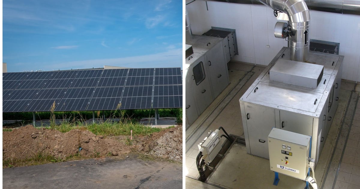 Ponad 4,6 mln zł na zielone inwestycje - tyle wydało MPWiK w 2025 roku