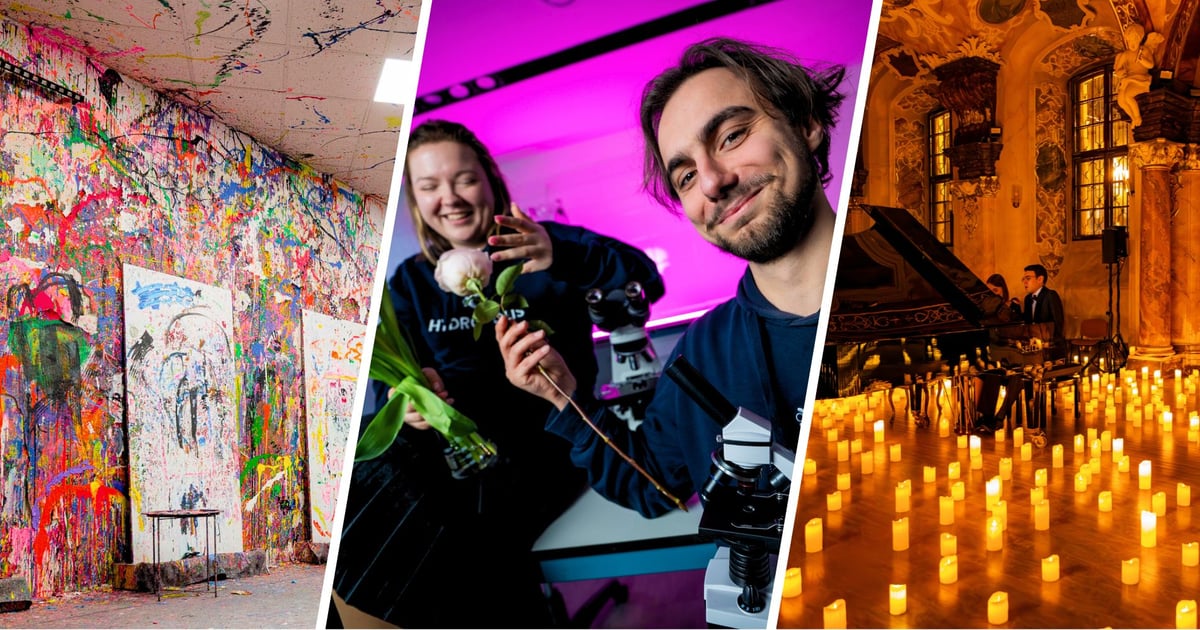 Walentynki we Wrocławiu. Co robić, gdzie pójść? | WYDARZENIA