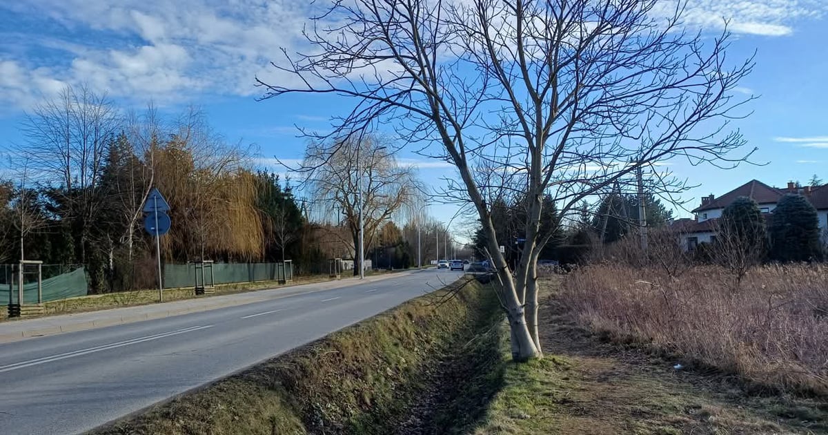 Na ul. Kurpiów rozpocznie się niebawem budowa brakującego odcinka chodnika