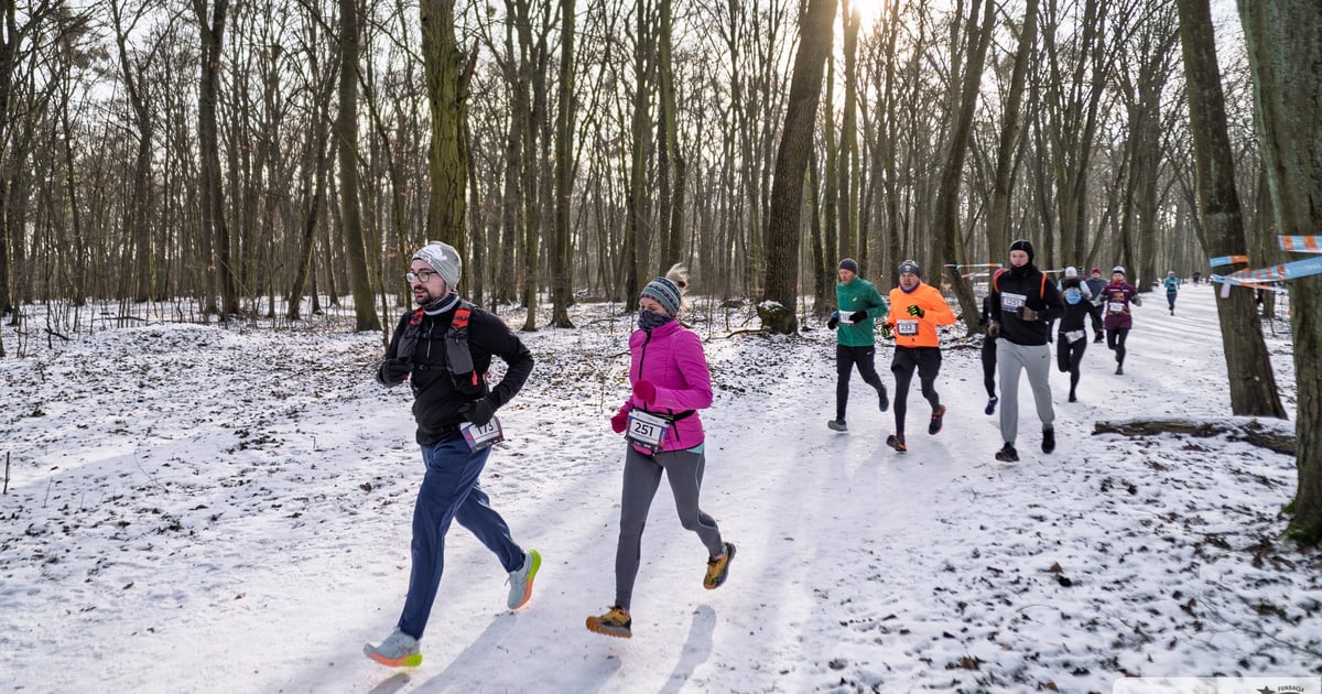 Las Osobowicki w sobotę stanie się areną biegów przełajowych