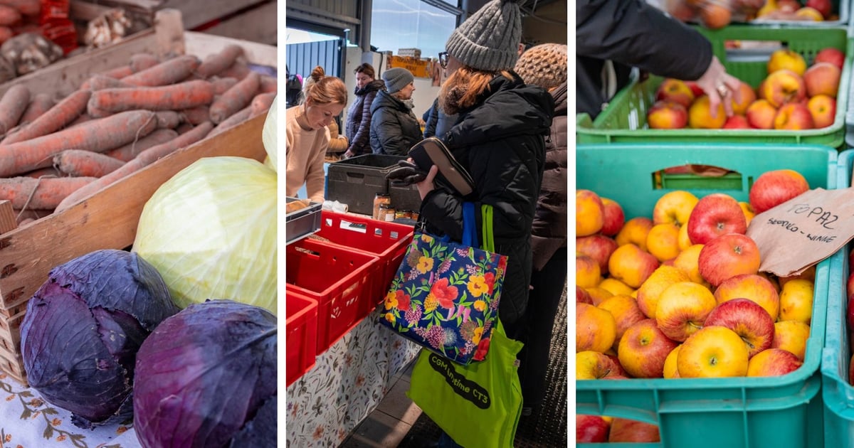 Dolnośląski Targ Rolny we Wrocławiu. Kupujemy tu doskonałe warzywa, mąkę, sery [ZDJĘCIA]