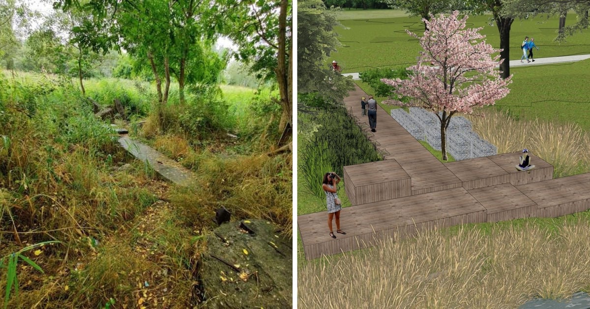 Plaża, pomosty i zieleń – teren na Żernikach czekają duże zmiany