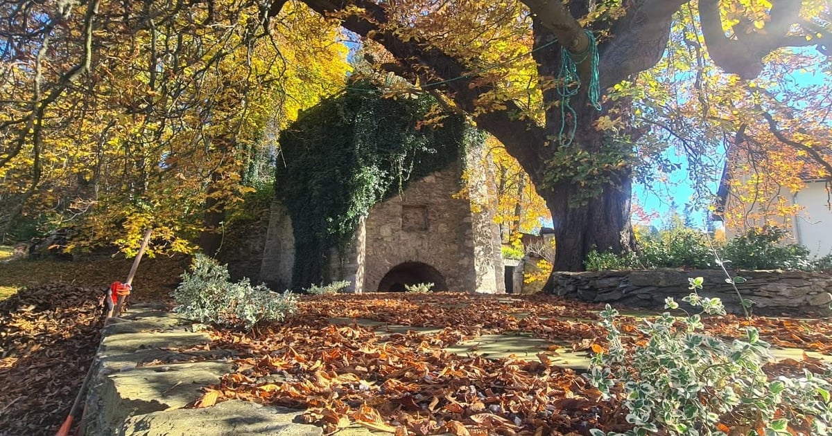 Pomysł na weekend: Poznaj historię i przyrodę Pogórza Izerskiego