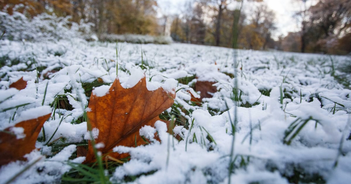 Wróci śnieg? Ma spaść przed weekendem we Wrocławiu!