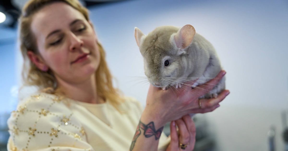 Tarczyński Arena: Wielkie spotkanie przyjaciół zwierząt