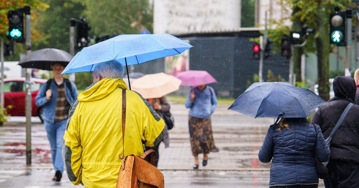 Czujecie ten ziąb? We Wrocławiu, do piątku mają być przymrozki