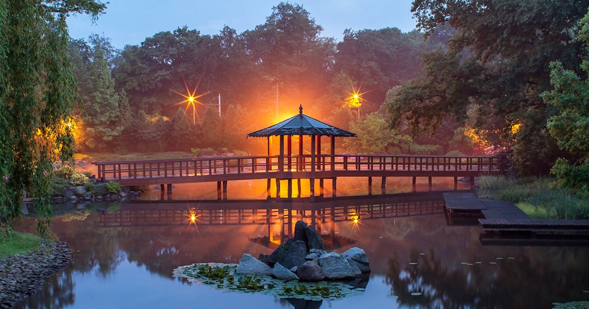 Wygrajcie bilety na wiosenny spacer w Ogrodzie Japońskim | KONKURS
