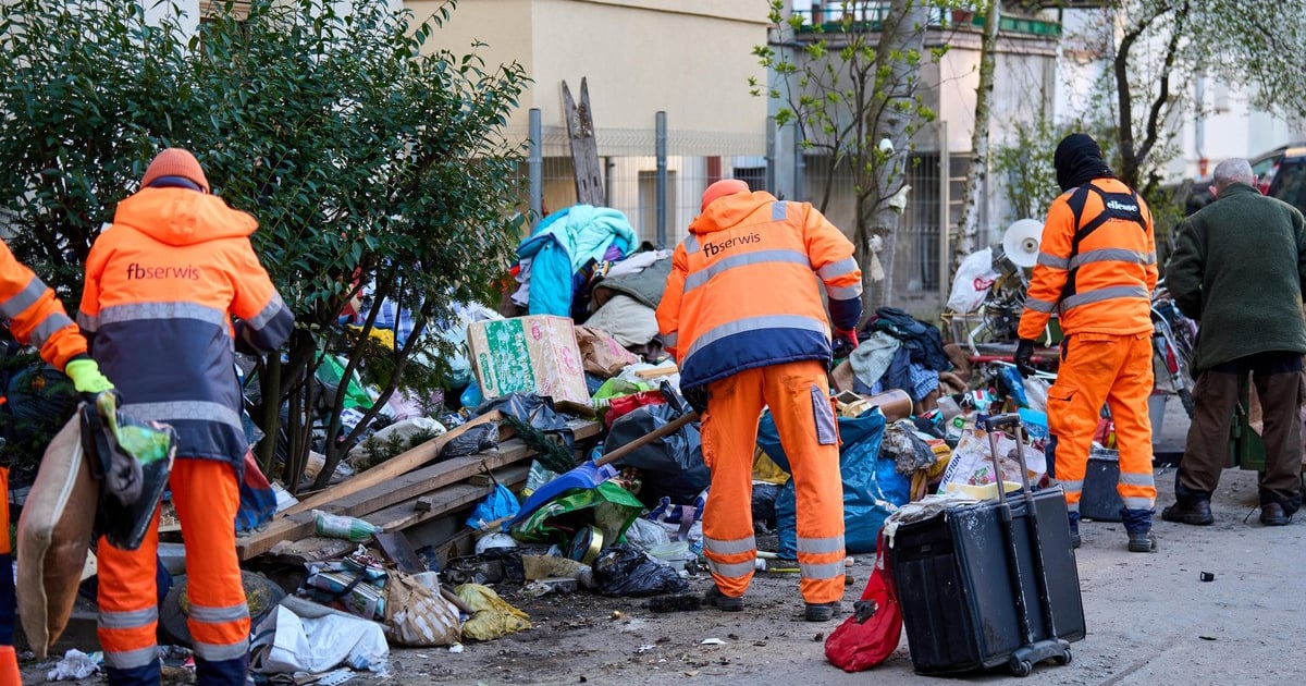 Usunięto stertę śmieci z podwórza przy ul. Grunwaldzkiej. Interweniowały służby miejskie
