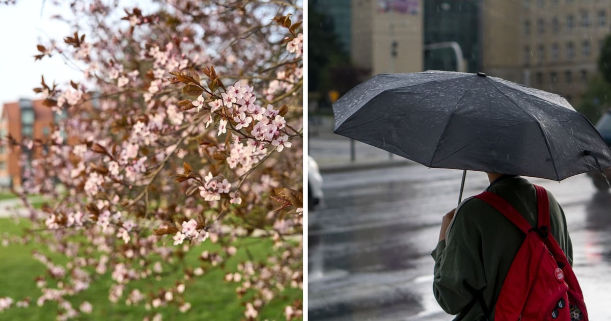 Pogoda na Wielkanoc 2026 we Wrocławiu. Trochę zimy, trochę lata