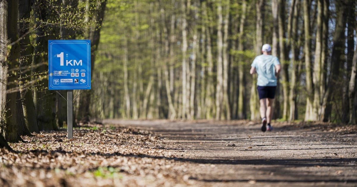 Powstają kolejne trasy biegowe we Wrocławiu - w parkach i nad rzeką