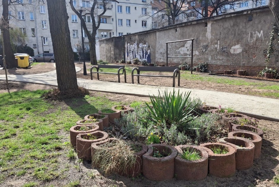Wiosna w pełni. Zazieleniają się wrocławskie podwórka