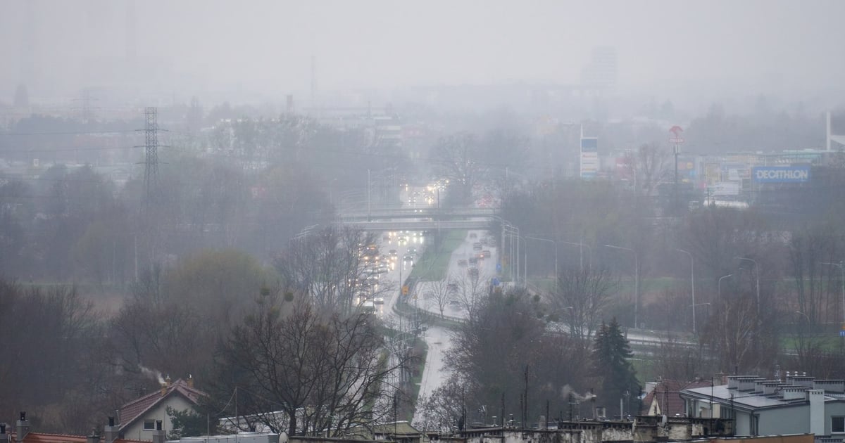 Psie Pole jakiego nie widzieliście. Zdjęcia z lotu ptaka! [DUŻO ZDJĘĆ