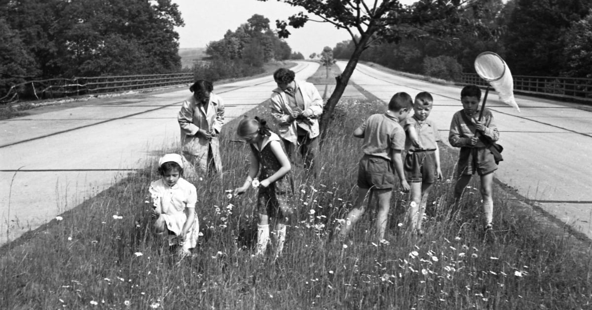 Piknik na A4 pod Wrocławiem? Kiedyś to było modne. Wyjątkowa wystawa w MA