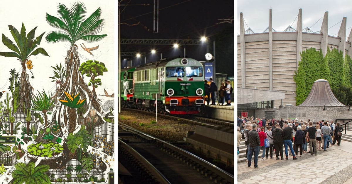 TOP 7. Atrakcje w Noc Muzeów 2026 we Wrocławiu w sobotę 16 maja [LISTA]