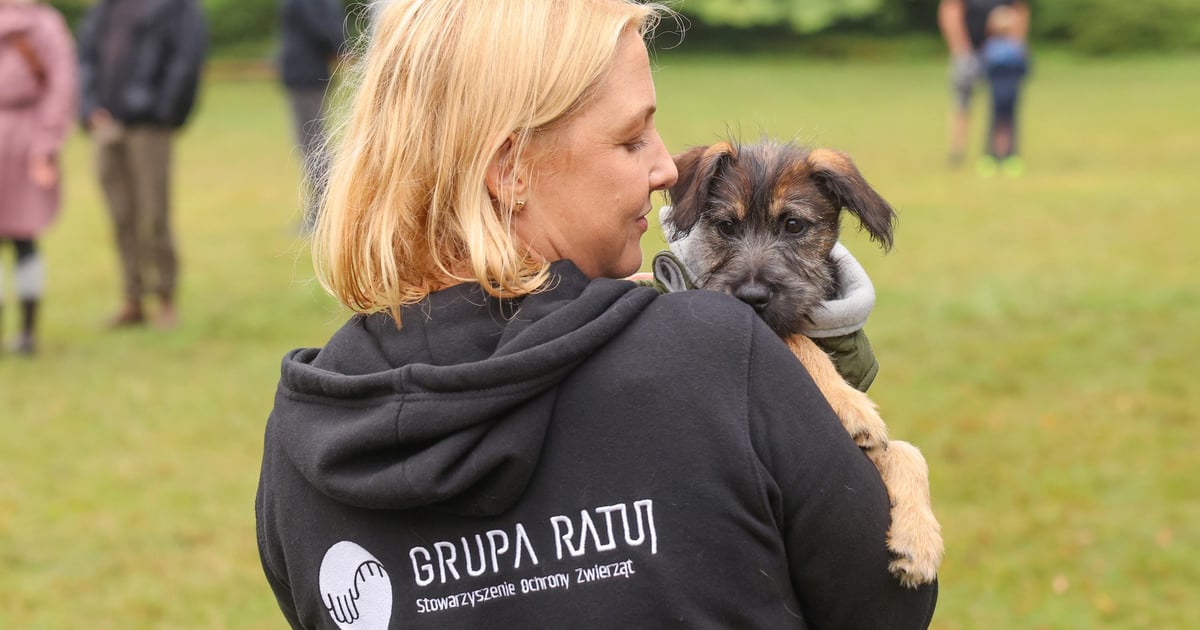 Poznaj ludzi od ratowania i zwierzaki (może już niedługo) adopciaki?