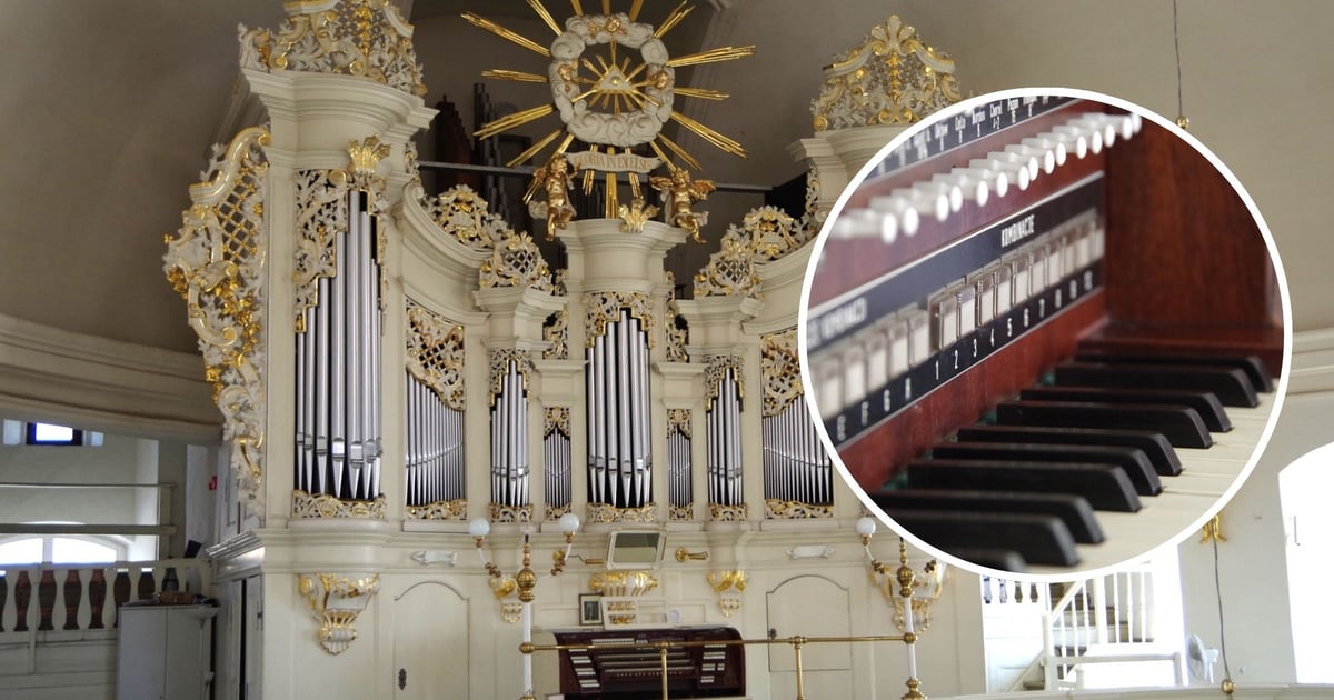 Bezpłatne koncerty organowe 18.07 w kościele przy Kazimierza Wielkiego