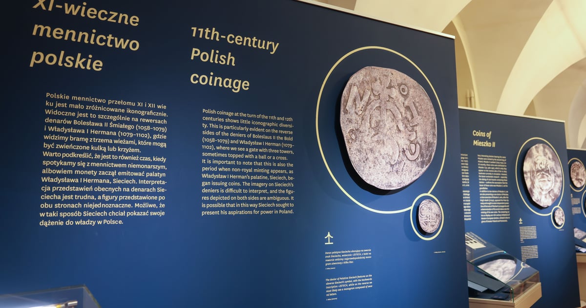 Monety z czasów Chrobrego czy Krzywoustego do obejrzenia w Ossolineum