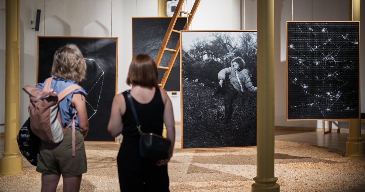 „Nieposłuszne gwiazdy” w BWA na Dworcu Głównym we Wrocławiu | ZDJĘCIA