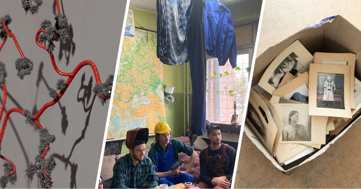 Wrocławska Nagroda Artystyczna 2025. Nominacje w dziedzinie: Sztuki wizualne. Kto ma szansę na nagrodę