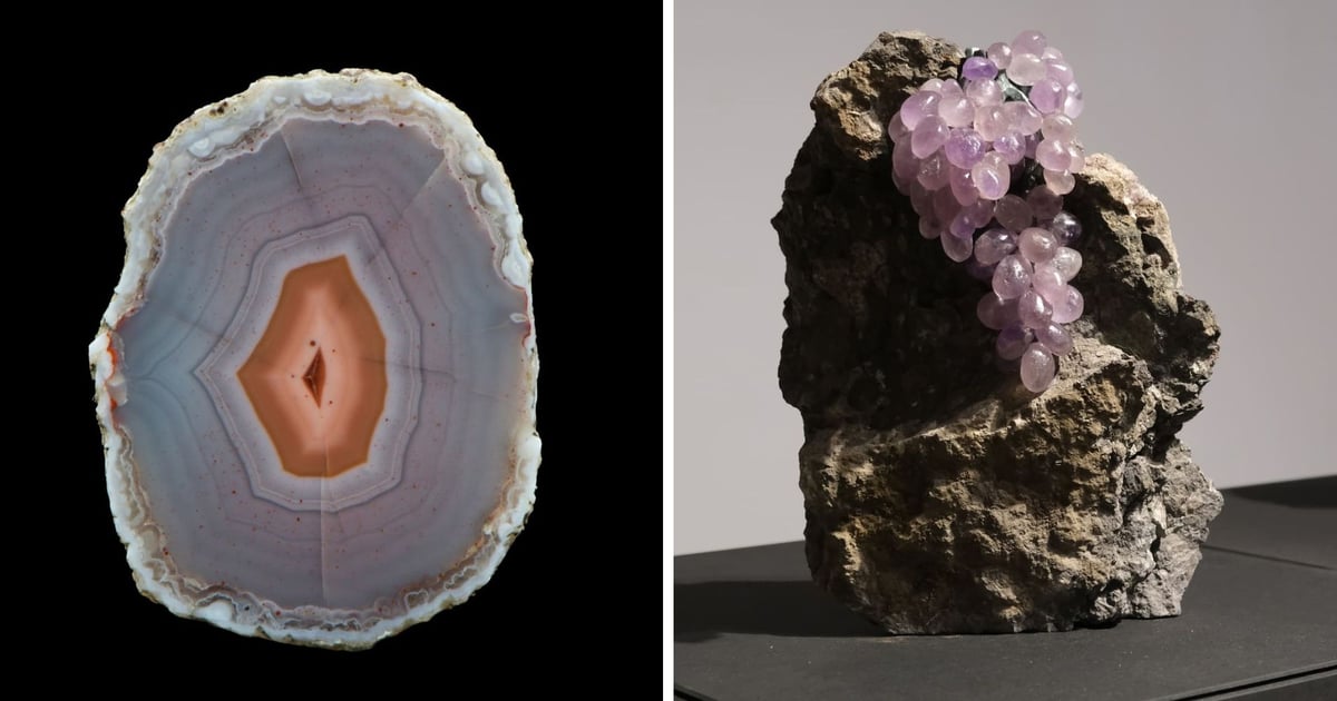 Owoce „Ziem Rzadkich" w Muzeum Mineralogicznym we Wrocławiu