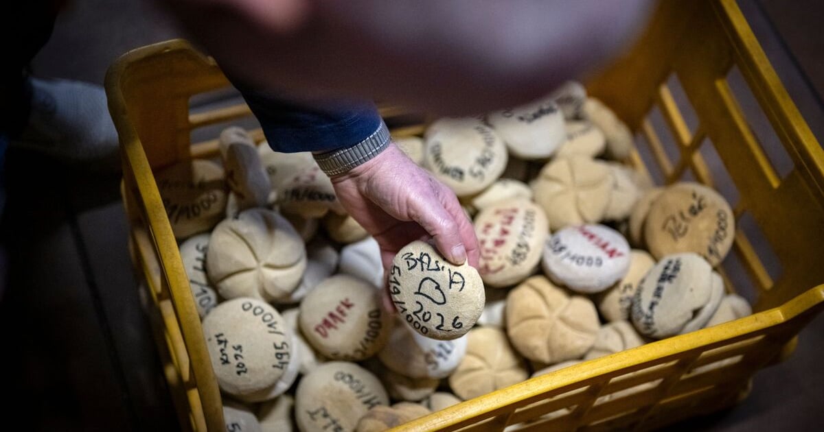 Widzieliście kiedyś 1000 kamiennych bułek? Wystawa w Bulvarach 15.03