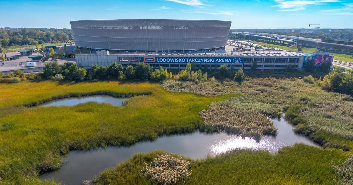 Co dalej z dziurą obok Stadionu Tarczyński Arena?