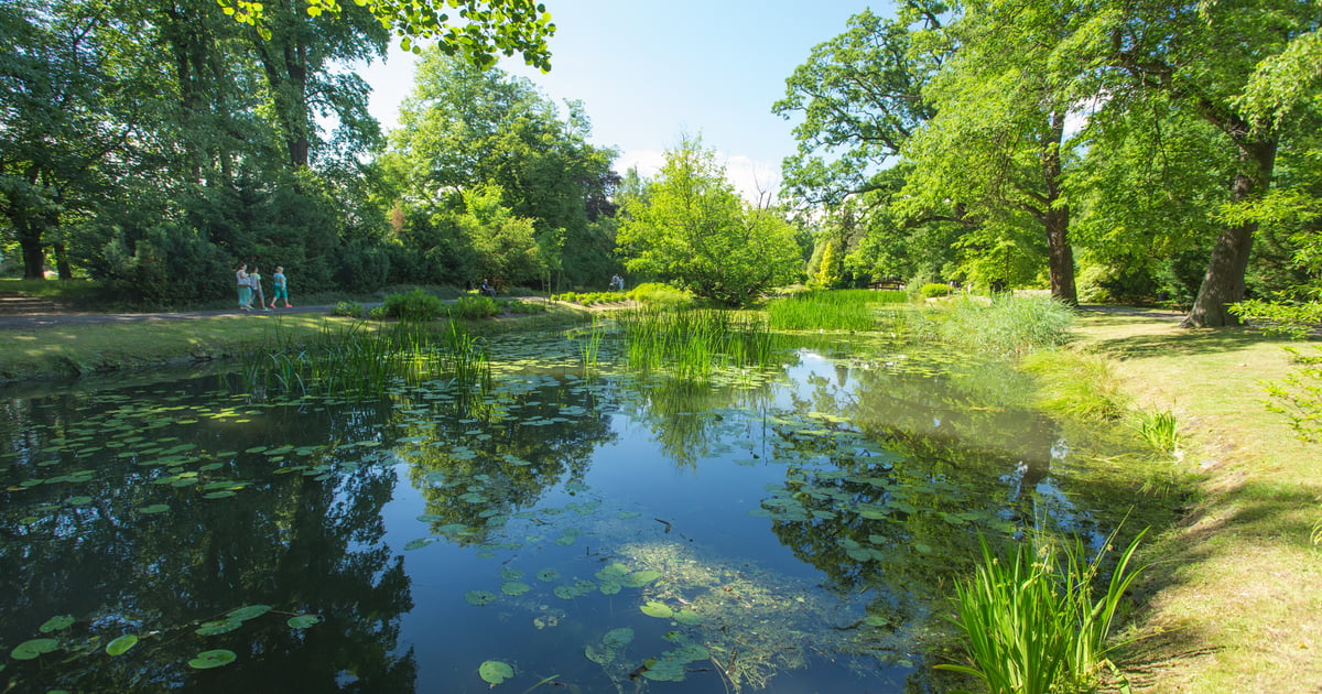 Nowy Program Ochrony Środowiska - ankieta dla mieszkańców Wrocławia