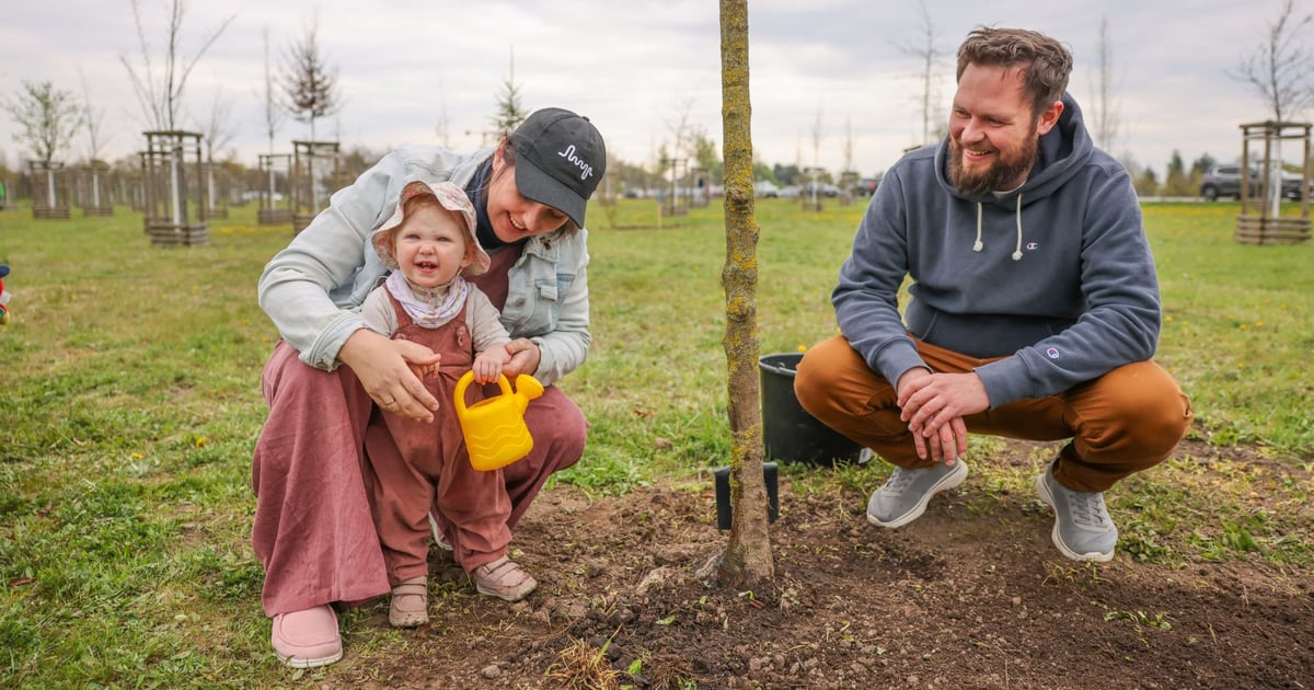 WROśnij we WROcław - piknik i rodzinne sadzenie drzew na Strachowicach
