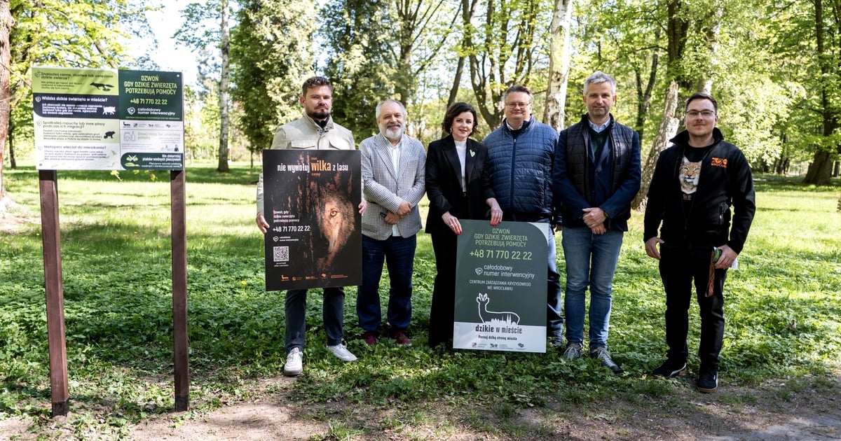 Widzisz dzikie zwierzę w potrzebie? Zadzwoń pod numer interwencyjny