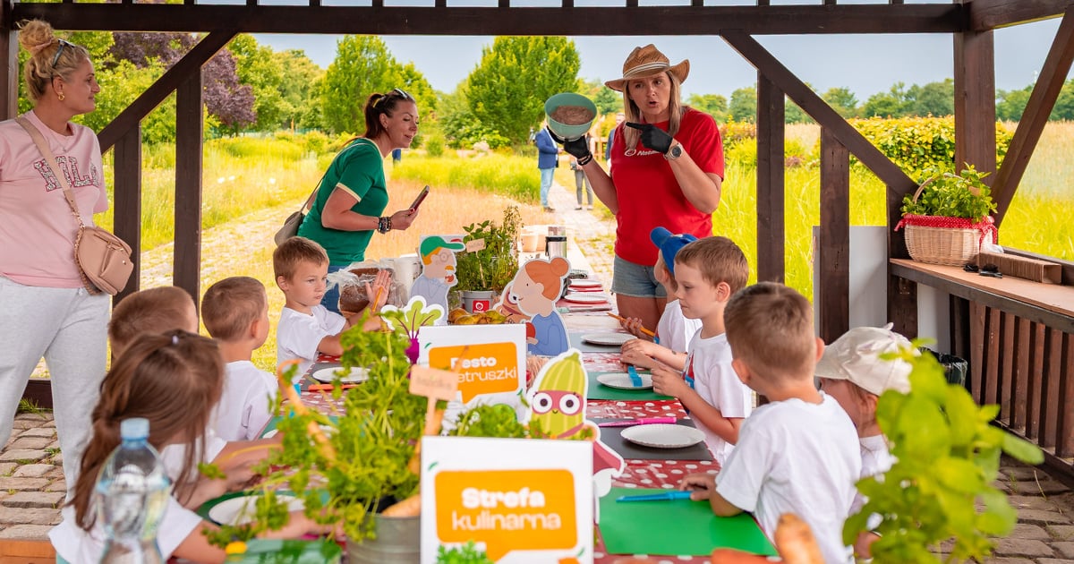 Miejska Farma: Więcej gatunków warzyw z doskonałej jakości gleby