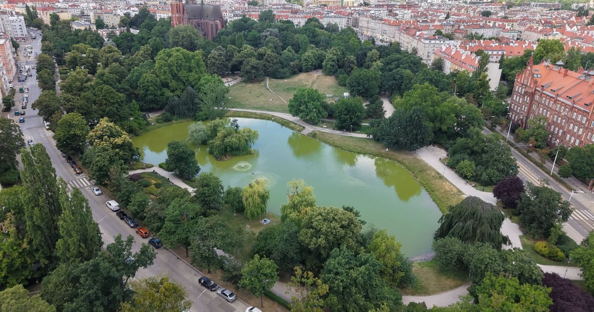 Popularny wśród Wrocławian park na Ołbinie czeka odświeżenie