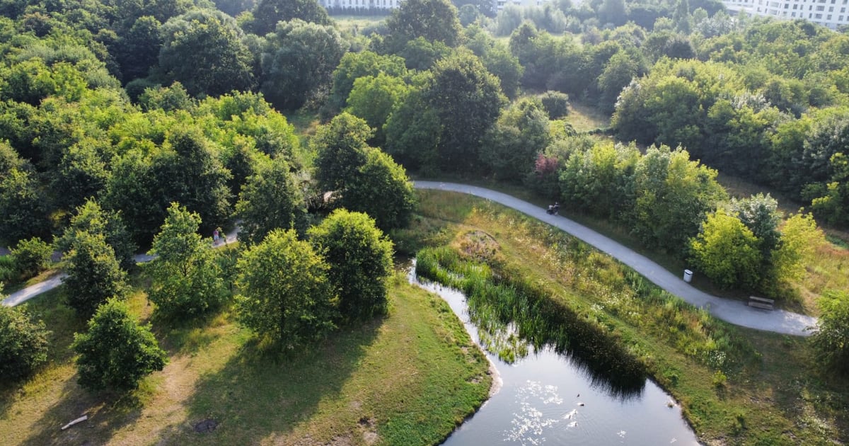 Park Krzycki z lotu ptaka. Zobaczcie, jak tu zielono! | ZDJĘCIA