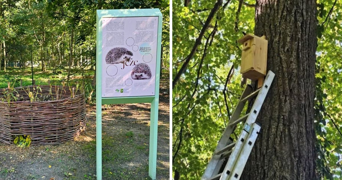 Przy Alei Kasprowicza powstał park edukacji ekologicznej | ZDJĘCIA