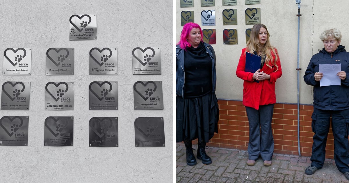 „Wrocławskie Serce dla Zwierząt”. Poznajcie laureatkę i wyróżnionych