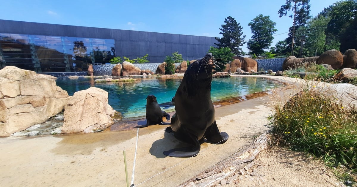 Wrocław Afrykarium i ZOO