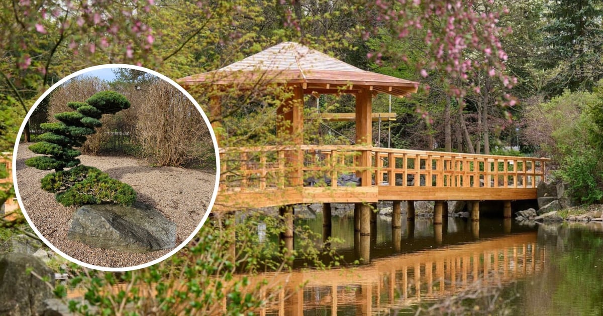 Ogród Japoński otwiera się na wiosnę. Zdjęcia, bilety, godziny otwarcia