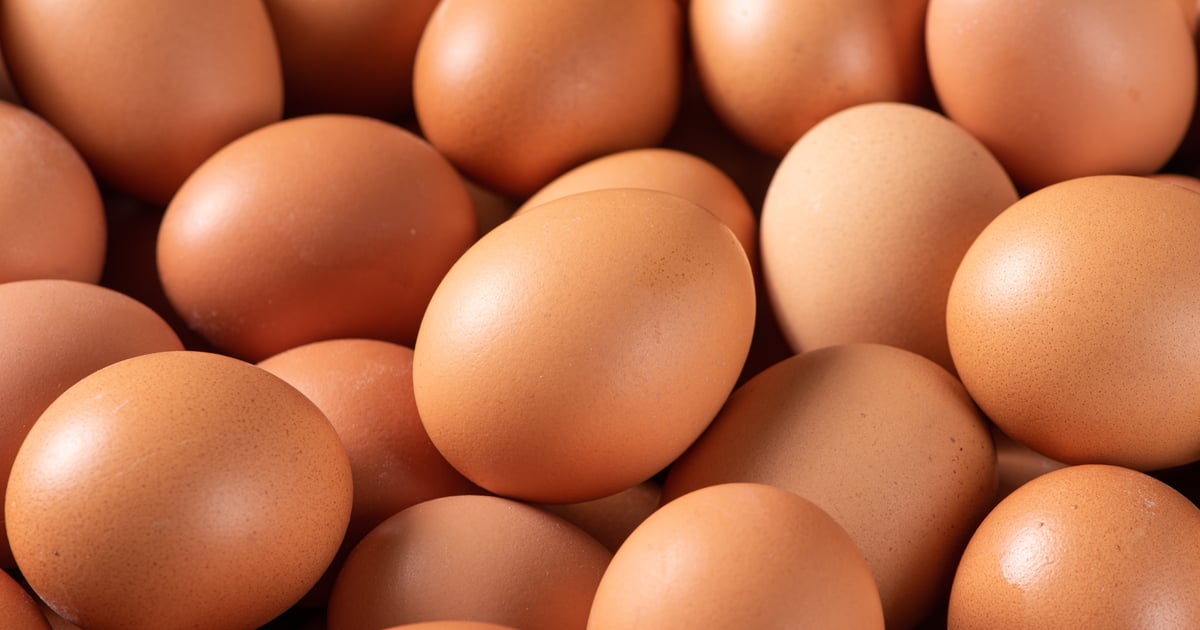 Zwierzęta w zoo polecają jajka od szczęśliwych kur. Nie tylko na Wielkanoc!