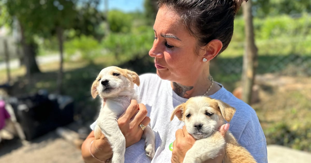 Piknik na rzecz zwierząt i planety. Przyjdźcie w sobotę na ul. Widną!