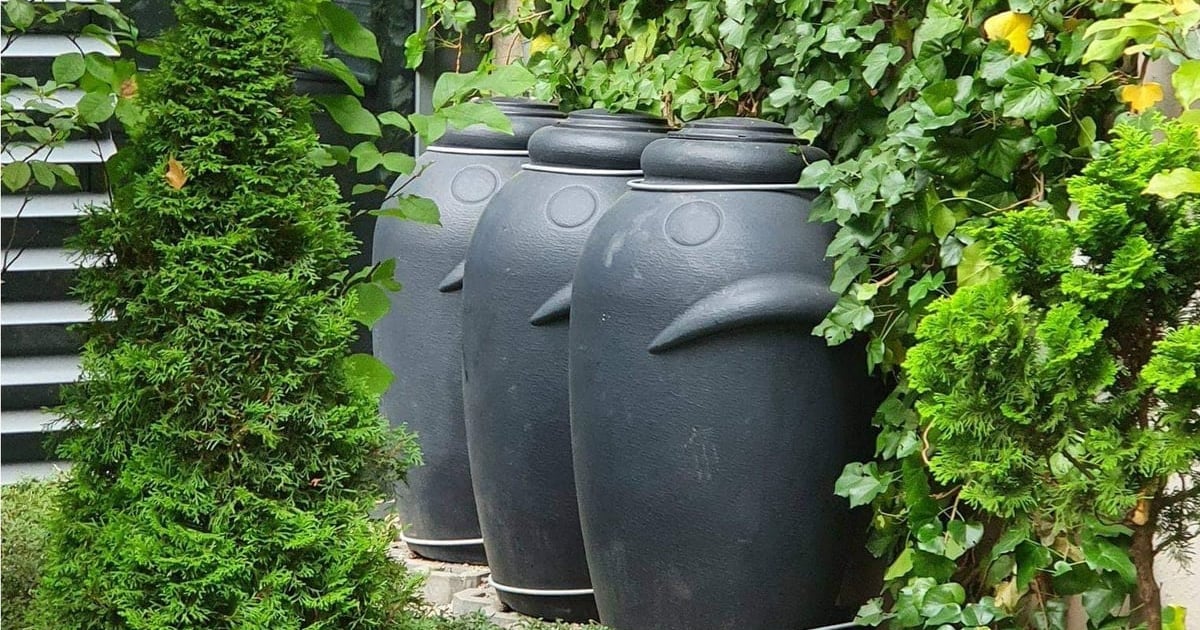 Duże zainteresowanie mieszkańców! Podsumowanie programu „Złap Deszcz”