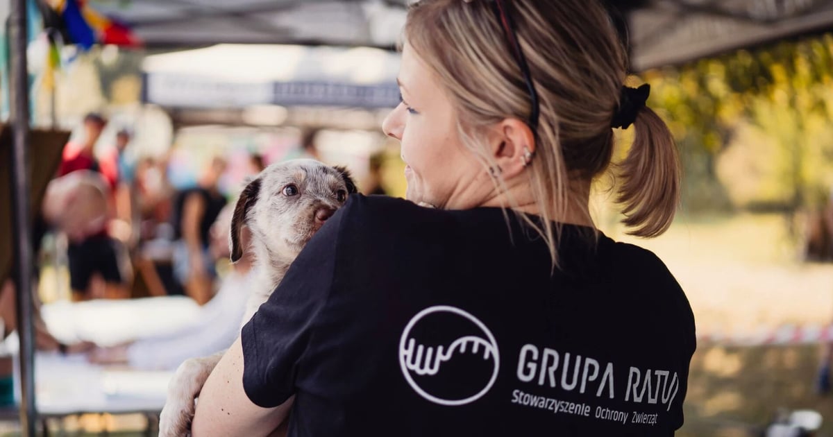 Pomóż zwierzętom i skorzystaj z atrakcji. W niedzielę piknik charytatywny Grupy Ratuj
